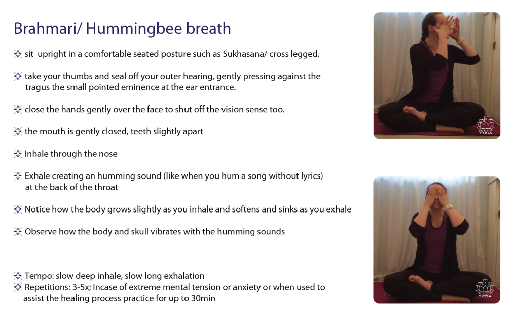 Brahmari-breath-hummingbee-breath-01-1024x627