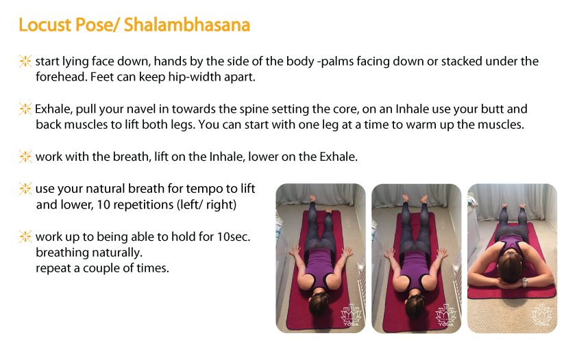 Locust_pose-shalambhasana