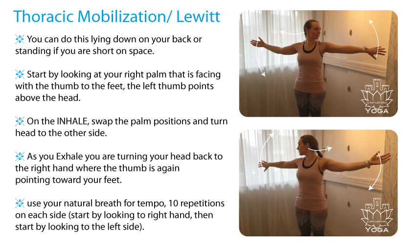 Thoracic_Mobilization_Lewitt