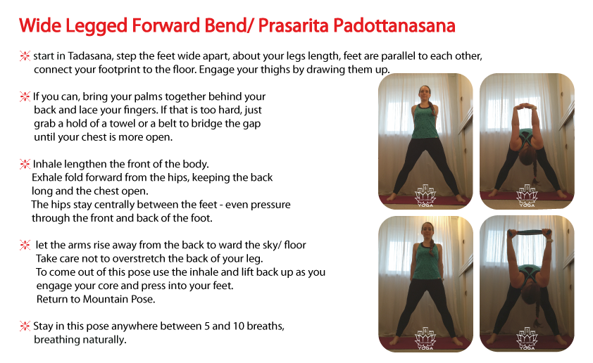 Wide-Legged-Forward-Bend-Prasarita-Padottanasana