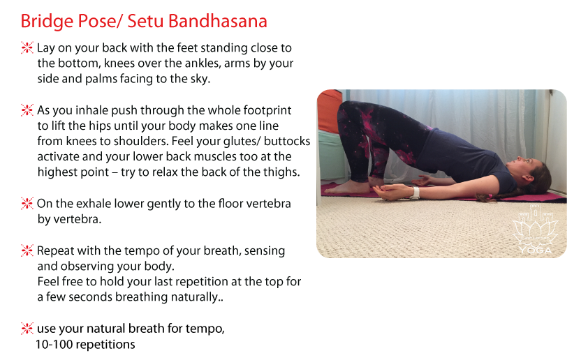bridge_pose-setu_bandhasana