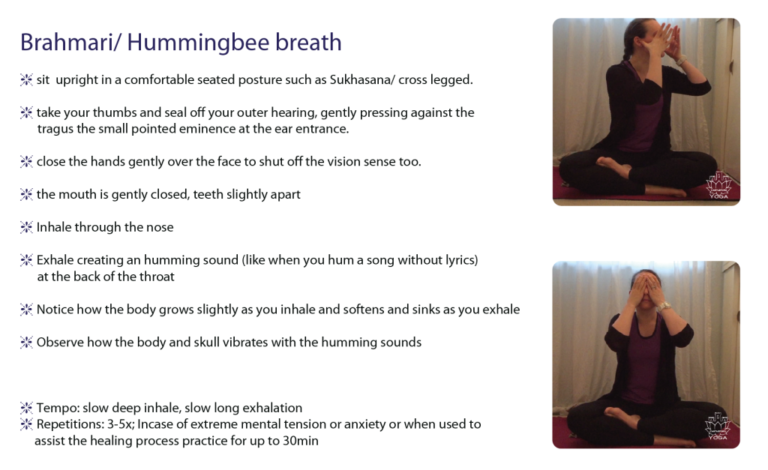 Pranayama series: Brahmari- Bee breath – Castleford-yoga Studio